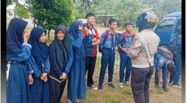 Oplus_16908288