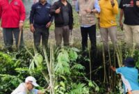 Walikota Sungai Penuh, Alfin S.H., bersama warga Kumun Debai membersihkan Ex Terminal Kumun, Jumat (24/10).