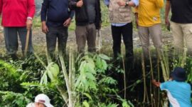 Walikota Sungai Penuh, Alfin S.H., bersama warga Kumun Debai membersihkan Ex Terminal Kumun, Jumat (24/10).