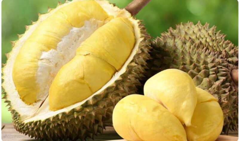 Durian matang siap disantap, dikenal sebagai Raja Buah tropis yang kaya manfaat dan lezat.