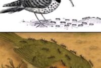 Burung dan semut sebagai simbol perubahan waktu dan kehidupan