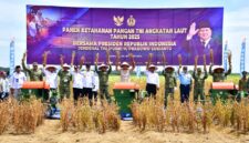 Menhan Sjafrie Sjamsoeddin bersama Panglima TNI dan Menteri Pertanian memanen kedelai varietas Garuda Merah Putih di lahan pertanian TNI AL Lampung.