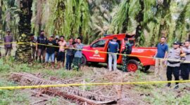 Lokasi perkebunan sawit di Kampung Cempaka Jaya, Tulang Bawang, Lampung, tempat jasad pelajar SMK ditemukan