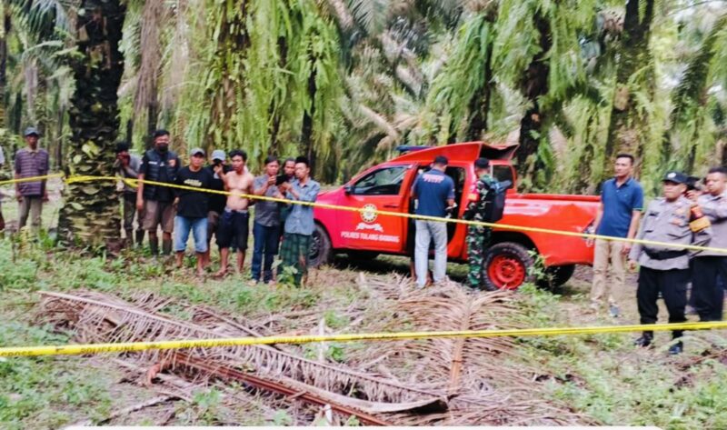 Lokasi perkebunan sawit di Kampung Cempaka Jaya, Tulang Bawang, Lampung, tempat jasad pelajar SMK ditemukan