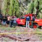 Lokasi perkebunan sawit di Kampung Cempaka Jaya, Tulang Bawang, Lampung, tempat jasad pelajar SMK ditemukan