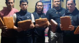 Petugas Satresnarkoba Polres Sarolangun memperlihatkan barang bukti 42 kilogram ganja kering yang disita dari pengungkapan kasus penyelundupan narkotika lintas provinsi melalui bus AKAP.