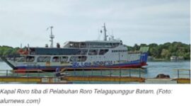 Kendaraan dan penumpang di atas kapal roro ASDP Batam–Jambi.
