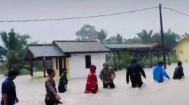 Banjir di Desa Lubuk Lingkuk membuat warga terpaksa mengungsi sementara dari rumah mereka.