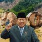 Presiden Prabowo Subianto dengan Satgas Penertiban Kawasan Hutan membahas sanksi terhadap perusahaan perusak lingkungan di Sumatera.