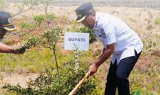 Pemkab Kerinci Sukseskan Gerakan Penanaman Pohon Serentak di HUT ke-69 Provinsi Jambi