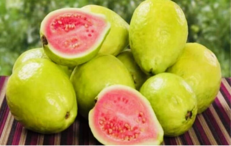 Jambu biji dikenal sebagai buah tropis yang kaya vitamin C dan memiliki banyak manfaat bagi kesehatan tubuh.