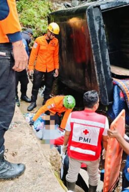 Mobil Pickup Terjun ke Jurang Jembatan Kelok 9 Limapuluh Kota, Sopir Alami Cedera Parah