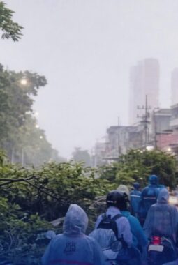 Cuaca Ekstrem Landa Surabaya, 30 Pohon Tumbang dan Lalu Lintas Tersendat