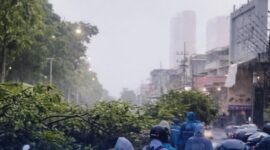 Cuaca ekstrem menyebabkan pohon tumbang di salah satu ruas jalan di Kota Surabaya.