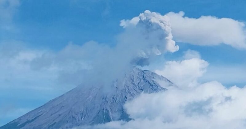 Kolom abu vulkanik membumbung setinggi 1.000 meter saat erupsi Gunung Semeru di Lumajang, Jawa Timur, Selasa (10/2/2026).