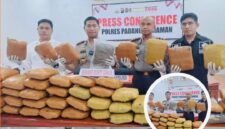 Satres Narkoba Polres Padang Pariaman menunjukkan 46 paket ganja kering yang berhasil disita dari rumah kontrakan di Korong Talao Mundam, Nagari Ketaping, Kecamatan Batang Anai.