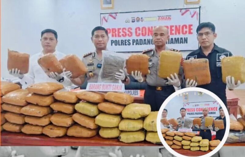 Satres Narkoba Polres Padang Pariaman menunjukkan 46 paket ganja kering yang berhasil disita dari rumah kontrakan di Korong Talao Mundam, Nagari Ketaping, Kecamatan Batang Anai.