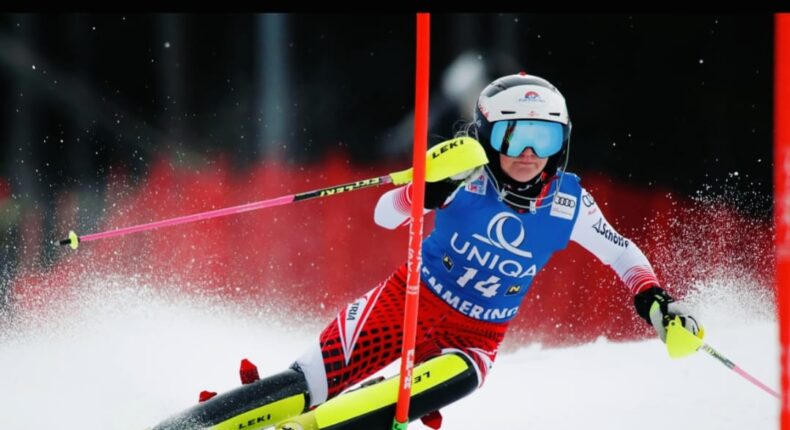 foto slider headline