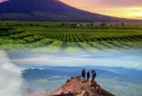 Pemandangan sunrise dari puncak Gunung Kerinci dengan latar lautan awan dan jajaran pegunungan Bukit Barisan di kawasan Taman Nasional Kerinci Seblat.