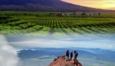 Pemandangan sunrise dari puncak Gunung Kerinci dengan latar lautan awan dan jajaran pegunungan Bukit Barisan di kawasan Taman Nasional Kerinci Seblat.