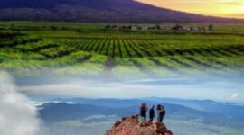 Pemandangan sunrise dari puncak Gunung Kerinci dengan latar lautan awan dan jajaran pegunungan Bukit Barisan di kawasan Taman Nasional Kerinci Seblat.