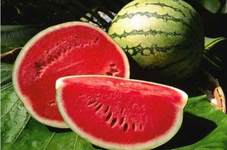 Buah semangka merah segar yang kaya kandungan air, vitamin C, dan antioksidan likopen untuk menjaga kesehatan tubuh.