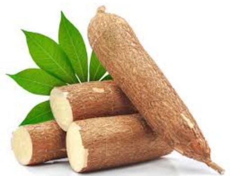 Singkong segar yang baru dipanen dengan daun hijau, menunjukkan pangan lokal bernutrisi tinggi yang kaya manfaat bagi kesehatan tubuh.