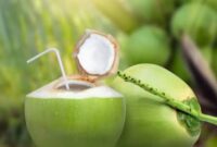 Buah kelapa muda segar dengan air kelapa alami yang kaya elektrolit dan baik untuk kesehatan tubuh.