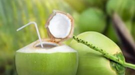 Buah kelapa muda segar dengan air kelapa alami yang kaya elektrolit dan baik untuk kesehatan tubuh.