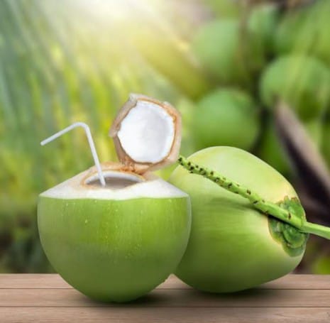 Buah kelapa muda segar dengan air kelapa alami yang kaya elektrolit dan baik untuk kesehatan tubuh.