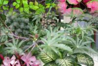 Ilustrasi beberapa jenis daun beracun yang harus dihindari manusia karena dapat menyebabkan iritasi dan keracunan.