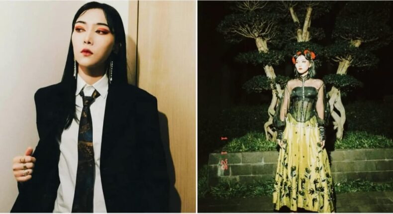 foto slider headline