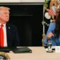Presiden Amerika Serikat Donald Trump memecat Menteri Keamanan Dalam Negeri AS Kristi Noem di tengah berbagai kontroversi politik.
