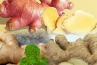 Tanaman jahe merupakan rempah herbal yang banyak dimanfaatkan sebagai bumbu masakan dan obat tradisional.