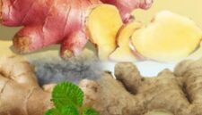 Tanaman jahe merupakan rempah herbal yang banyak dimanfaatkan sebagai bumbu masakan dan obat tradisional.