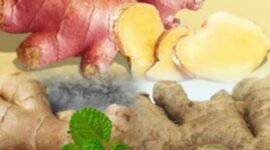 Tanaman jahe merupakan rempah herbal yang banyak dimanfaatkan sebagai bumbu masakan dan obat tradisional.
