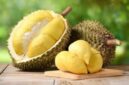Buah durian dikenal sebagai raja buah tropis dengan aroma khas dan rasa manis legit.