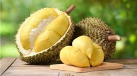 Buah durian dikenal sebagai raja buah tropis dengan aroma khas dan rasa manis legit.