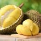 Buah durian dikenal sebagai raja buah tropis dengan aroma khas dan rasa manis legit.