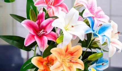 Bunga lili putih yang indah mekar di taman