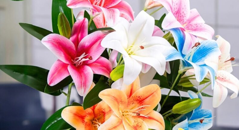 foto slider headline