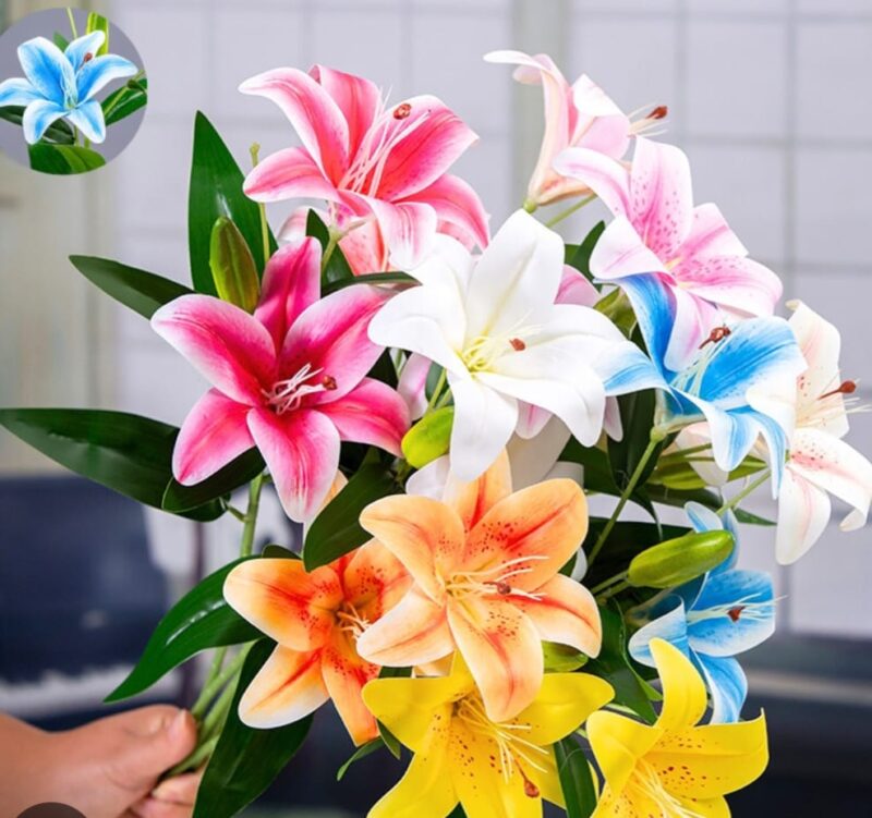 Bunga lili dikenal memiliki kelopak besar, warna cerah, dan aroma harum sehingga populer sebagai tanaman hias dan dekorasi