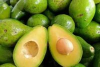 Buah alpukat segar yang kaya nutrisi dan bermanfaat untuk kesehatan tubuh.