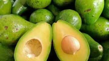 Buah alpukat segar yang kaya nutrisi dan bermanfaat untuk kesehatan tubuh.