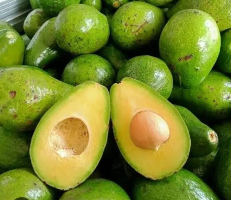 Buah alpukat segar yang kaya nutrisi dan bermanfaat untuk kesehatan tubuh.