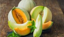 Buah melon segar yang kaya air dan nutrisi baik untuk kesehatan tubuh.
Alt gambar: buah melon segar