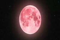 Pink Moon atau bulan purnama April 2026 akan menghiasi langit Indonesia dan bisa dilihat dengan mata telanjang.