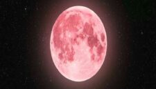 Pink Moon atau bulan purnama April 2026 akan menghiasi langit Indonesia dan bisa dilihat dengan mata telanjang.