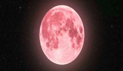 Fenomena Pink Moon bulan purnama April 2026 terlihat di langit malam Indonesia