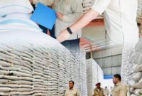 Presiden Prabowo Subianto saat meninjau stok beras di Gudang Bulog Danurejo, Magelang. 